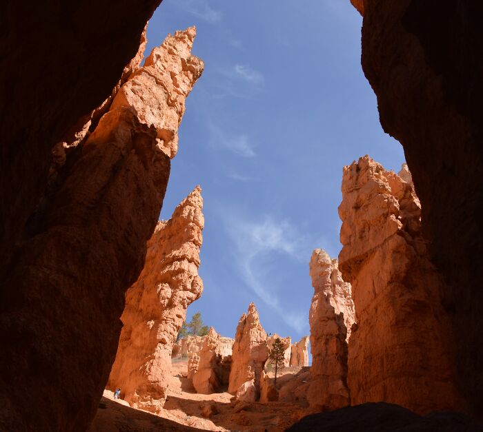 I Took This Picture In Bryce Canyon, Utah, USA. The Trip To Bryce Canyon Was One Of The Most Beautiful Ones I Ever Had