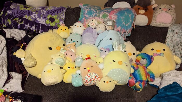 Here's My Chicken Collection! Chickens Are My Favorite Squishmallows So Easter Is Very Expensive. There's Some Others In There Too