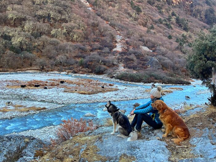 Hiking With My Two Dogs Is My Biggest Passion, Here Are Some Highlights Of Our Tsho Rolpa Glacial Lake Adventure Hiking With My Two Dogs Is My Biggest Passion, Here Are Some Highlights Of Our Tsho Rolpa Glacial Lake Adventure