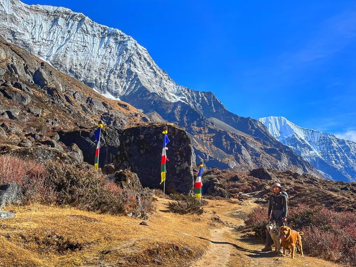 Hiking With My Two Dogs Is My Biggest Passion, Here Are Some Highlights Of Our Tsho Rolpa Glacial Lake Adventure Hiking With My Two Dogs Is My Biggest Passion, Here Are Some Highlights Of Our Tsho Rolpa Glacial Lake Adventure