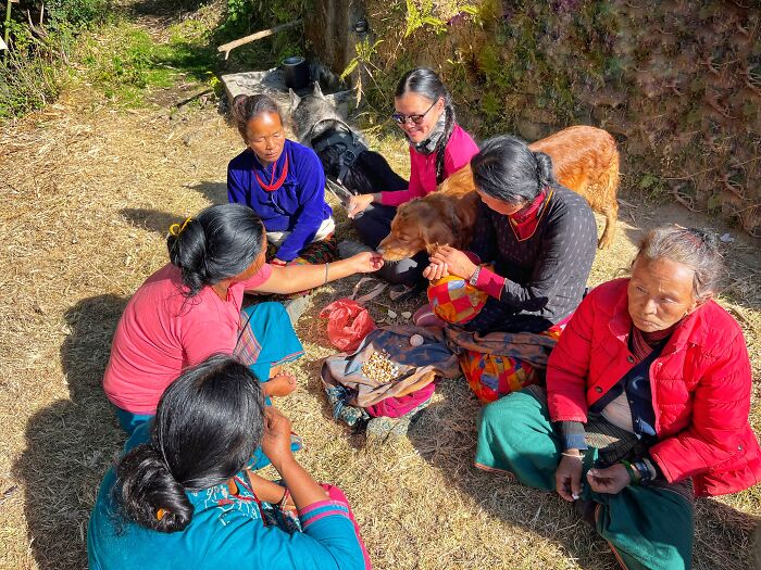 Hiking With My Two Dogs Is My Biggest Passion, Here Are Some Highlights Of Our Tsho Rolpa Glacial Lake Adventure Hiking With My Two Dogs Is My Biggest Passion, Here Are Some Highlights Of Our Tsho Rolpa Glacial Lake Adventure