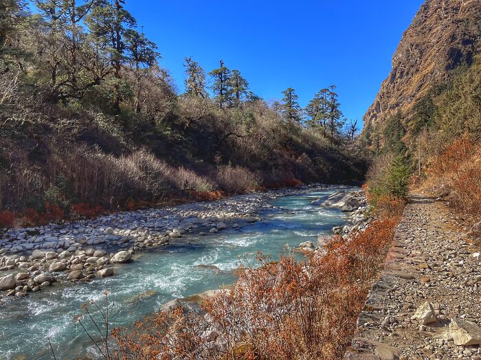 Hiking With My Two Dogs Is My Biggest Passion, Here Are Some Highlights Of Our Tsho Rolpa Glacial Lake Adventure Hiking With My Two Dogs Is My Biggest Passion, Here Are Some Highlights Of Our Tsho Rolpa Glacial Lake Adventure