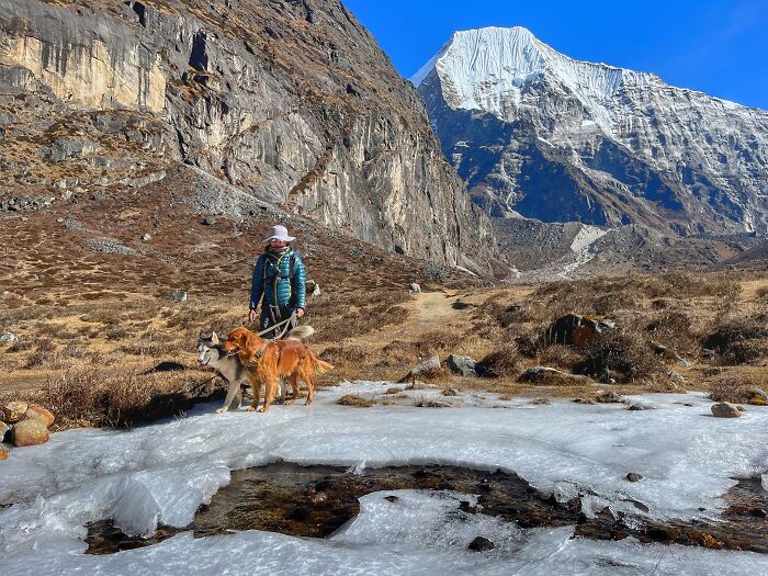 Hiking With My Two Dogs Is My Biggest Passion, Here Are Some Highlights Of Our Tsho Rolpa Glacial Lake Adventure Hiking With My Two Dogs Is My Biggest Passion, Here Are Some Highlights Of Our Tsho Rolpa Glacial Lake Adventure