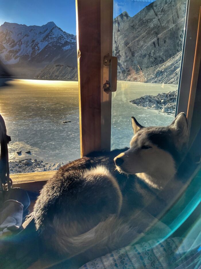 Hiking With My Two Dogs Is My Biggest Passion, Here Are Some Highlights Of Our Tsho Rolpa Glacial Lake Adventure Hiking With My Two Dogs Is My Biggest Passion, Here Are Some Highlights Of Our Tsho Rolpa Glacial Lake Adventure