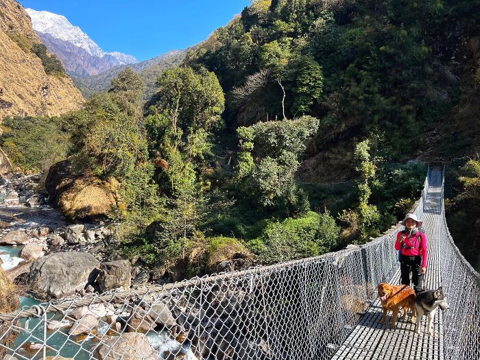Hiking With My Two Dogs Is My Biggest Passion, Here Are Some Highlights Of Our Tsho Rolpa Glacial Lake Adventure Hiking With My Two Dogs Is My Biggest Passion, Here Are Some Highlights Of Our Tsho Rolpa Glacial Lake Adventure