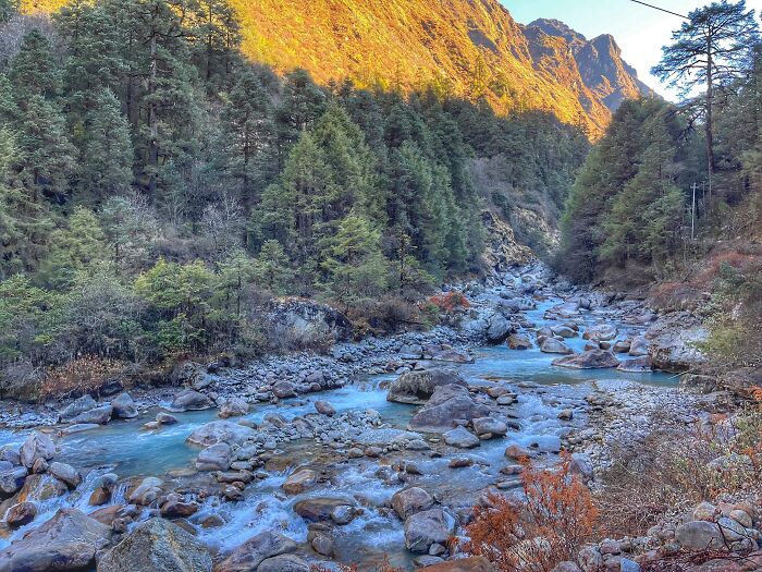 Hiking With My Two Dogs Is My Biggest Passion, Here Are Some Highlights Of Our Tsho Rolpa Glacial Lake Adventure Hiking With My Two Dogs Is My Biggest Passion, Here Are Some Highlights Of Our Tsho Rolpa Glacial Lake Adventure