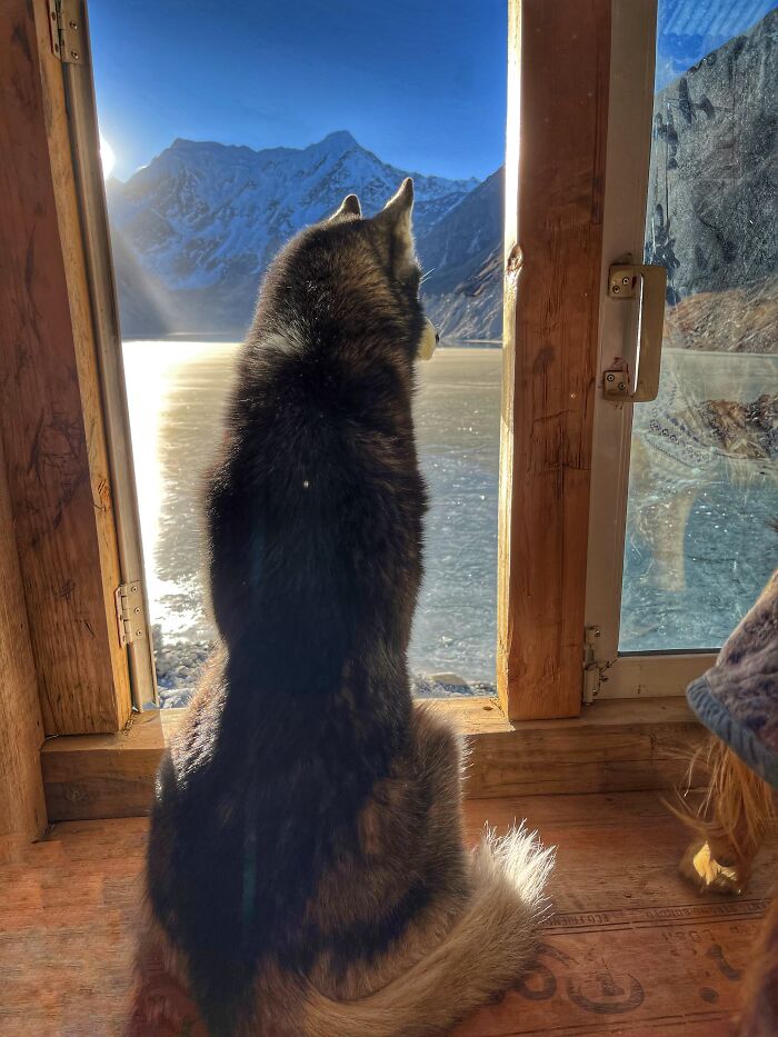 Hiking With My Two Dogs Is My Biggest Passion, Here Are Some Highlights Of Our Tsho Rolpa Glacial Lake Adventure Hiking With My Two Dogs Is My Biggest Passion, Here Are Some Highlights Of Our Tsho Rolpa Glacial Lake Adventure