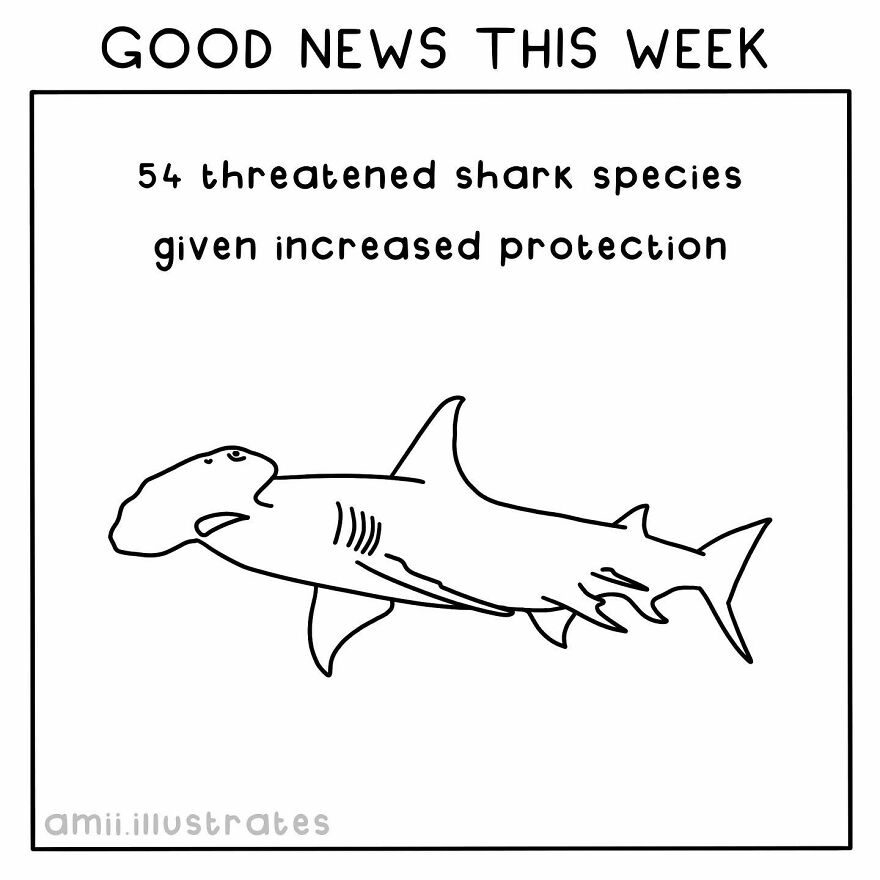 I Illustrated 8 Positive News Stories To Give You Hope For Our Planet