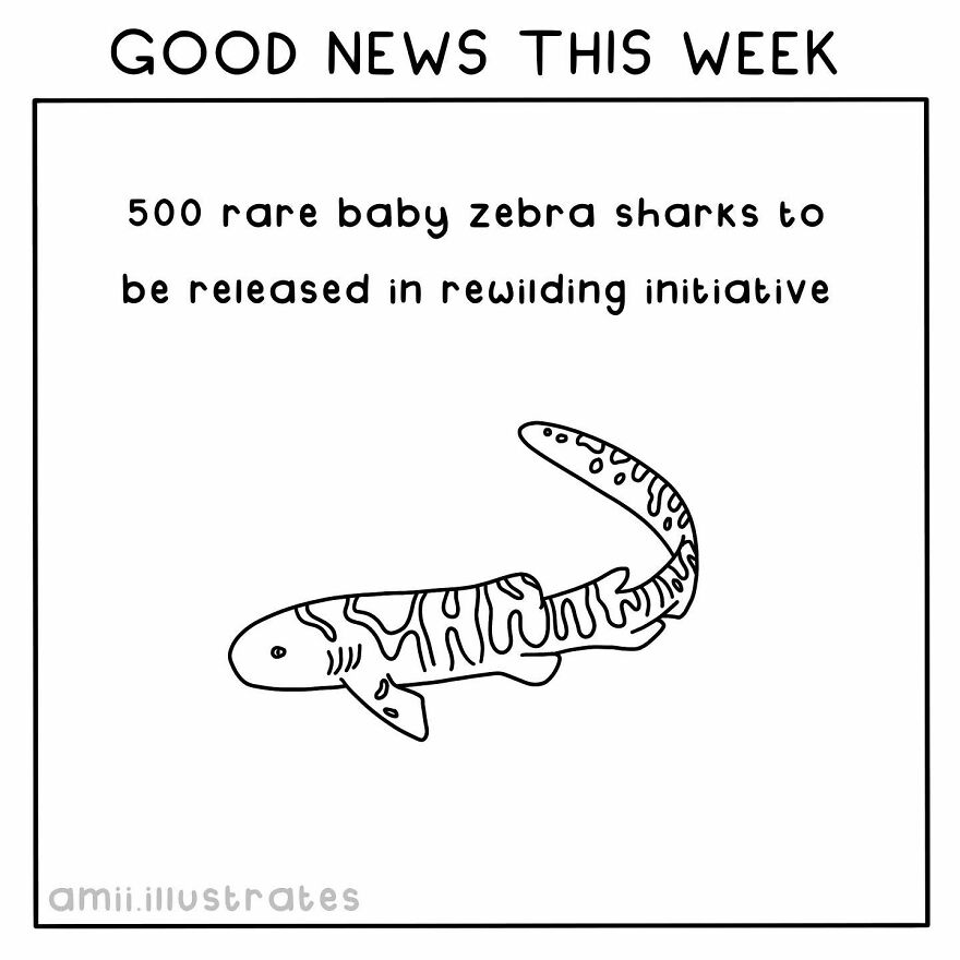 I Illustrated 8 Positive News Stories To Give You Hope For Our Planet