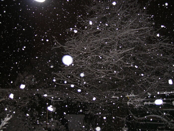 When Snow & Light Creates An Interdimensional Plane