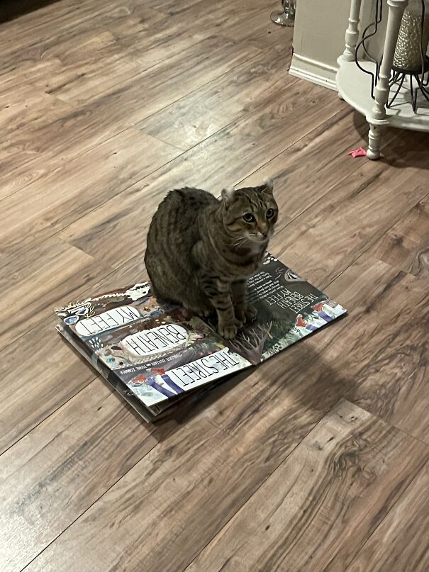 He Decided A Book Was A Suitable Chair