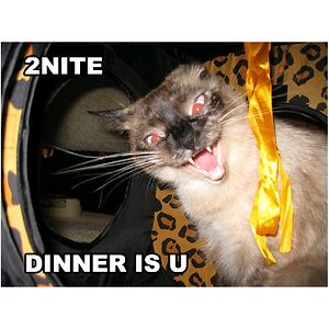 pastels-fodders-0p avatar