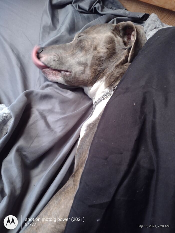 He Was Probably Dreaming About Having An Ice Cream Cone