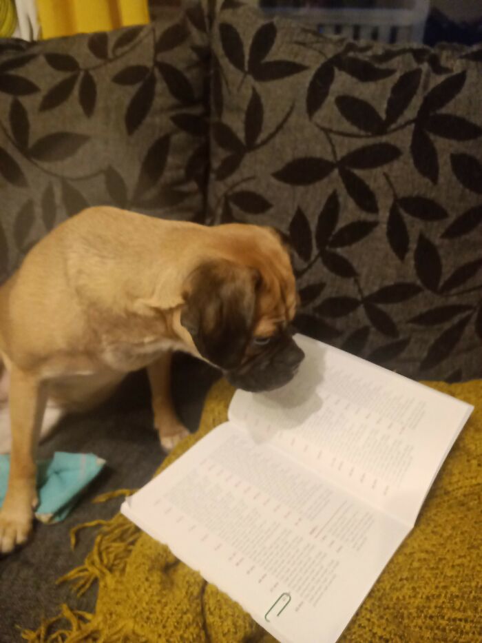 Shes Really Loving This Book