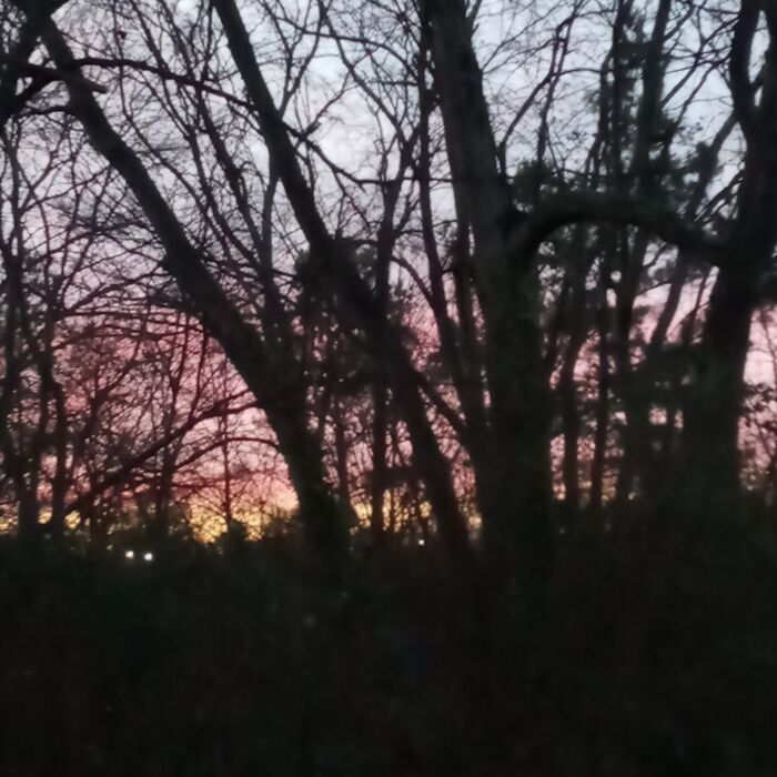 Sunset Near Tennessee River