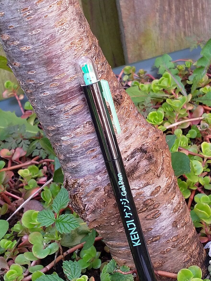 Hey Pandas, I Got Some New Pens From Kenji And Here's A Photoshoot (8 Pics)