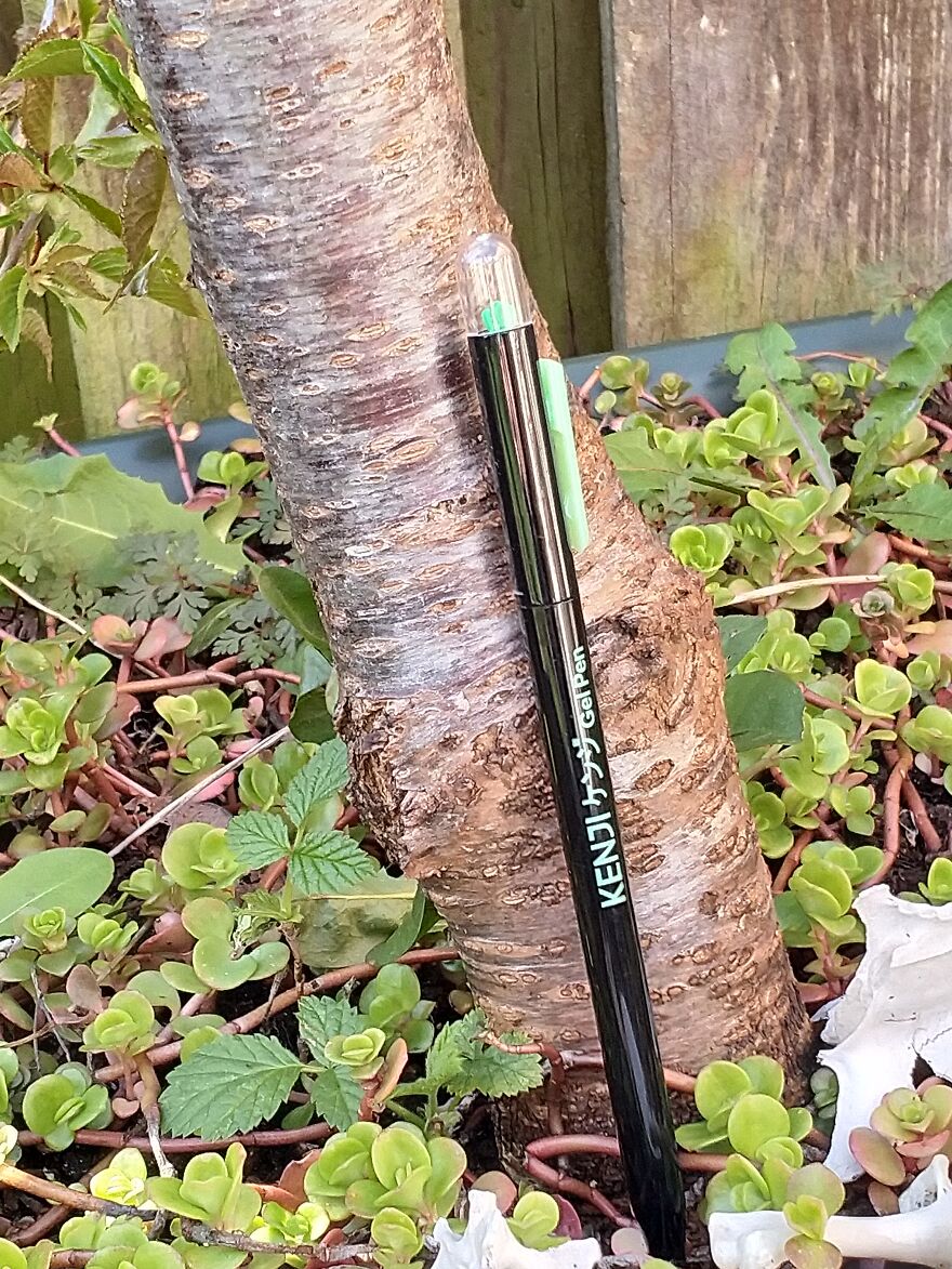 Hey Pandas, I Got Some New Pens From Kenji And Here's A Photoshoot (8 Pics)