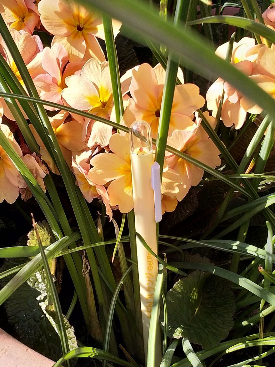 Hey Pandas, I Got Some New Pens From Kenji And Here's A Photoshoot (8 Pics)