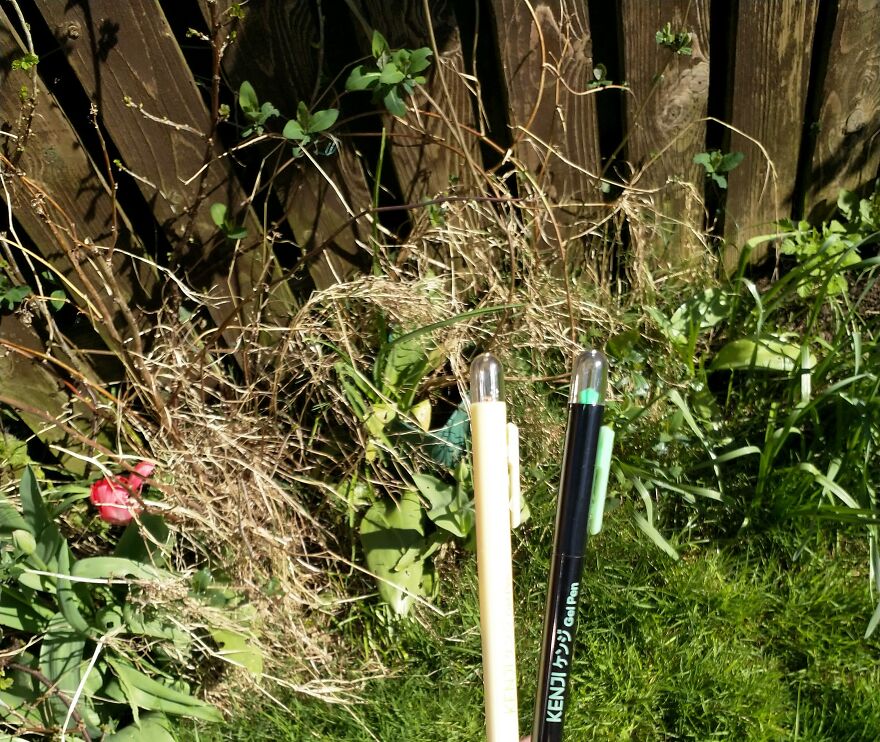 Hey Pandas, I Got Some New Pens From Kenji And Here's A Photoshoot (8 Pics)