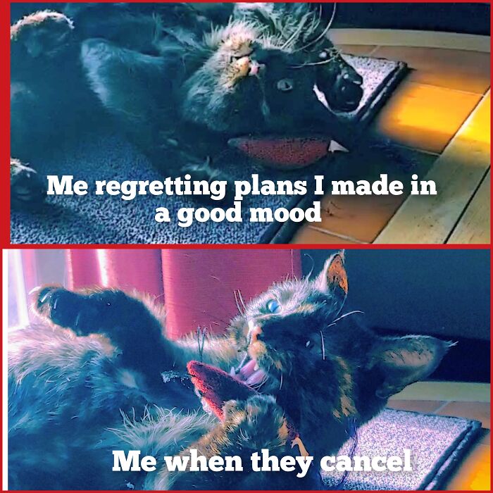 Cinder Portraying Perfectly The Struggles Of An Introvert