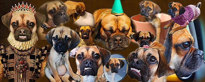 There Is No Way To Choose