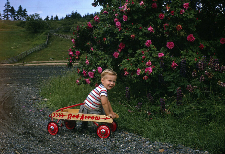 They Give Us Those Nice Bright Colors, Give Us The Greens Of Summers, Makes You Think All The World's A Sunny Day!