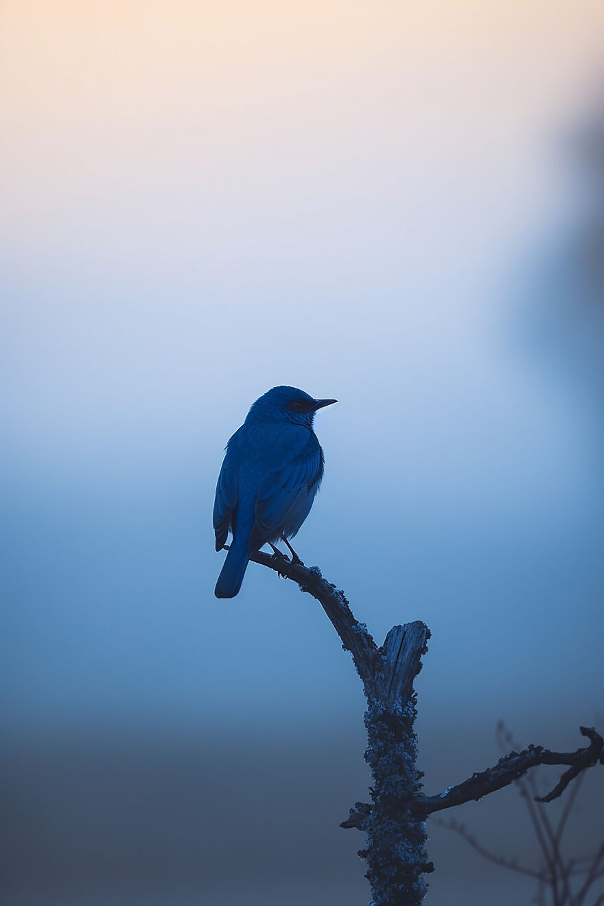 40 Images Depicting The Beauty Of Nature At Dawn