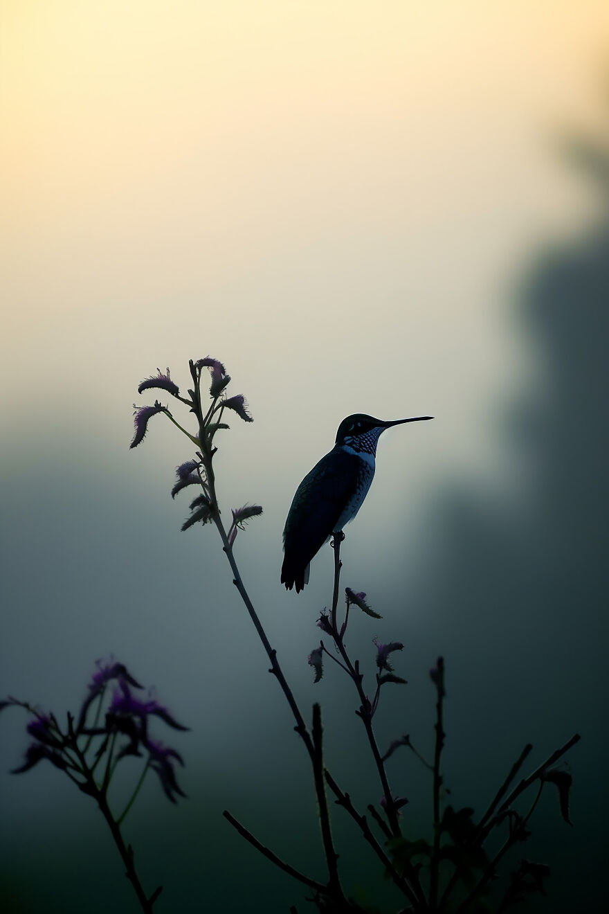 40 Images Depicting The Beauty Of Nature At Dawn