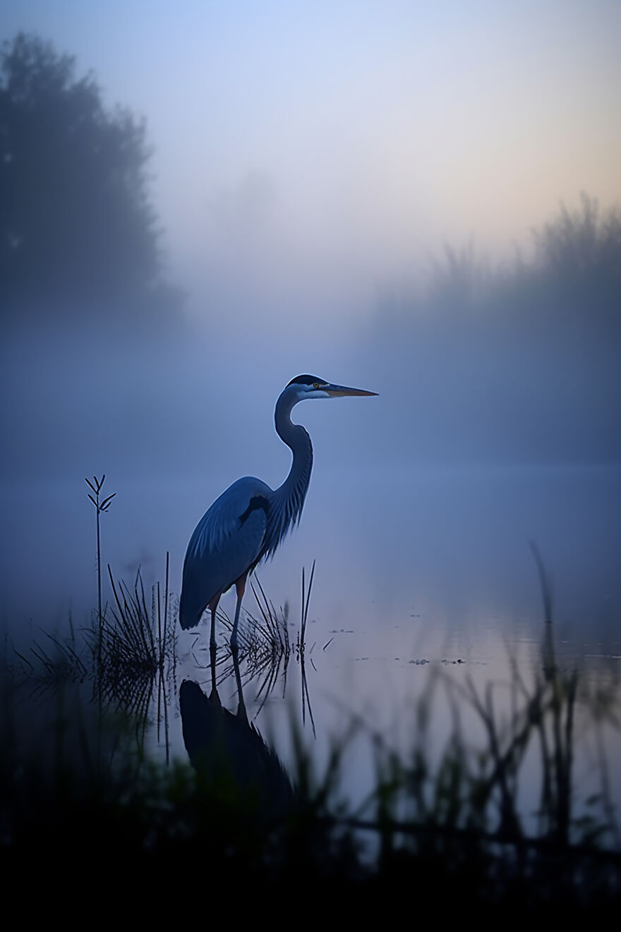 40 Images Depicting The Beauty Of Nature At Dawn