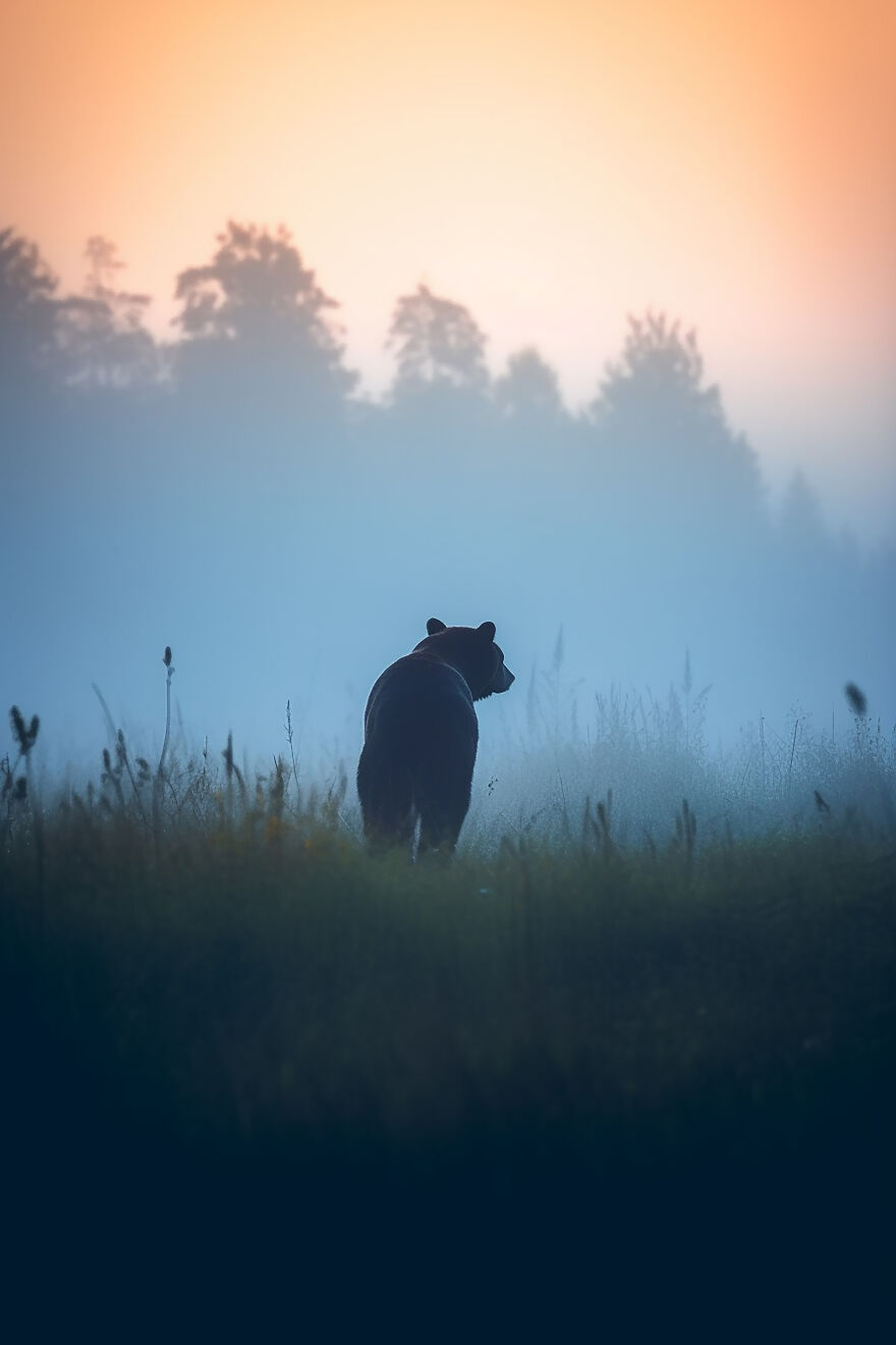 40 Images Depicting The Beauty Of Nature At Dawn