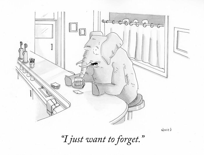 New Yorker Cartoonist Draws Funny, Smart (Ridiculous. Yet Totally Relatable)