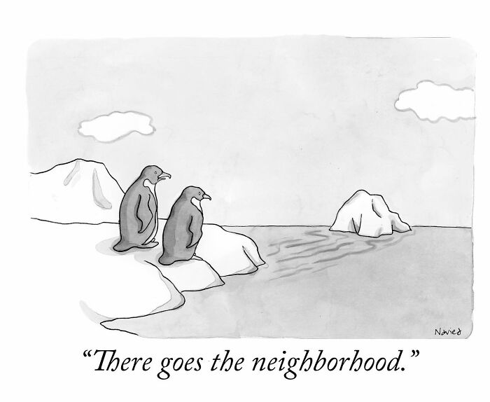 New Yorker Cartoonist Draws Funny, Smart (Ridiculous. Yet Totally Relatable)