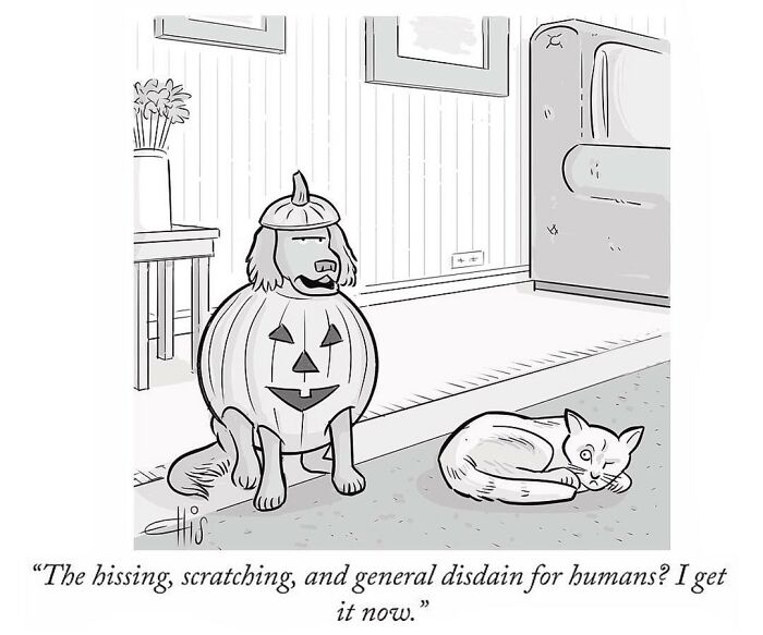 New Yorker Cartoonist Draws Funny, Smart (Ridiculous. Yet Totally Relatable)