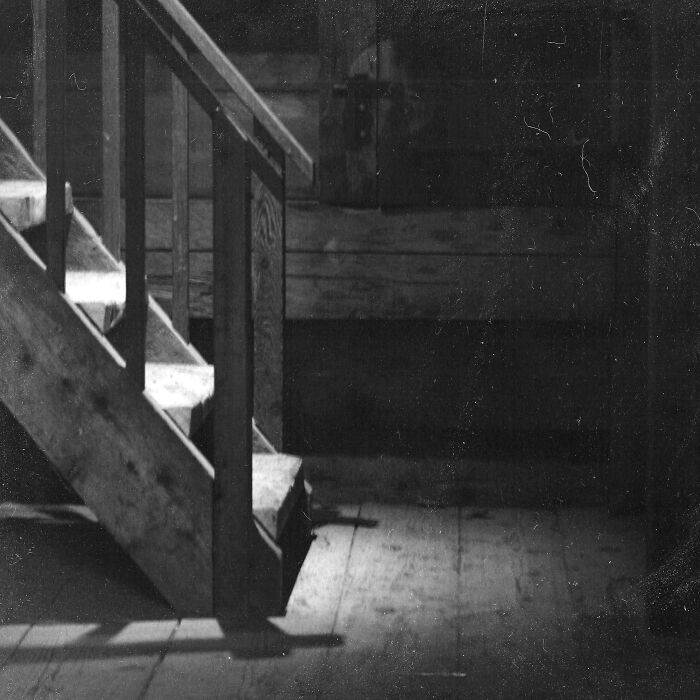 A Visual Exploration Of Narcissistic Abuse And Recovery (15 Photos)