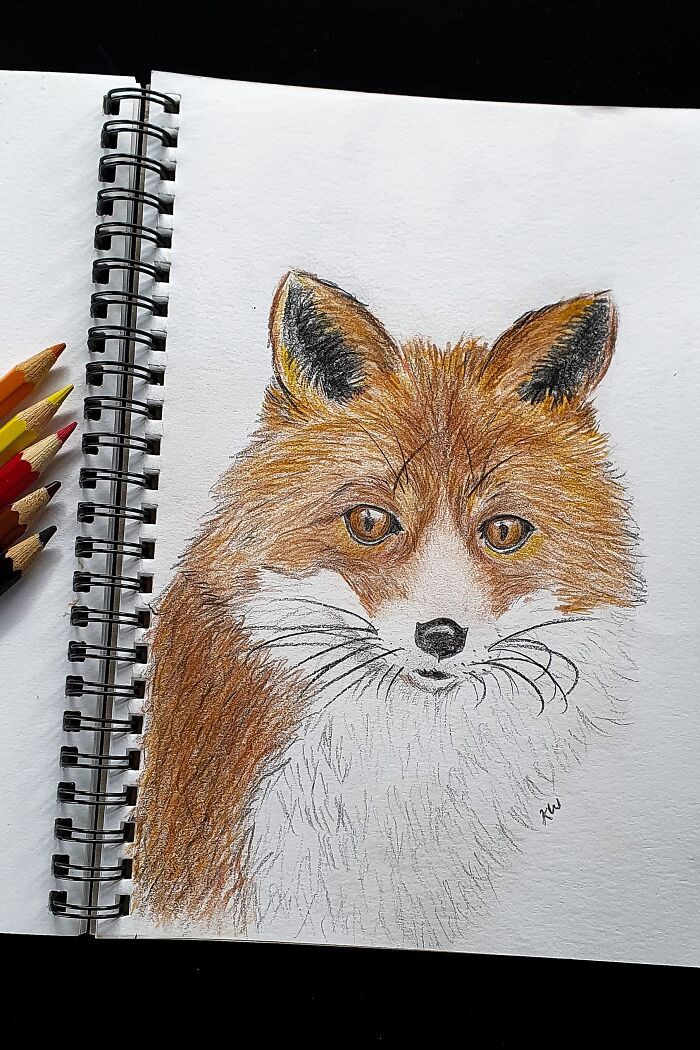 First Attempt At Colored Sketch