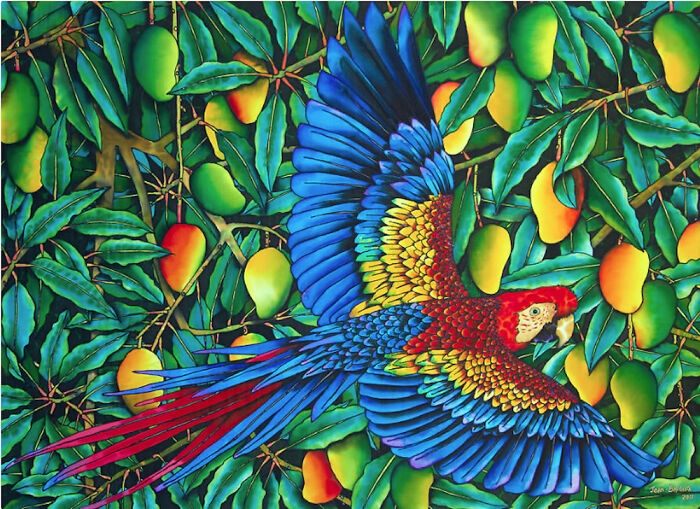 Macaw In Mango Tree