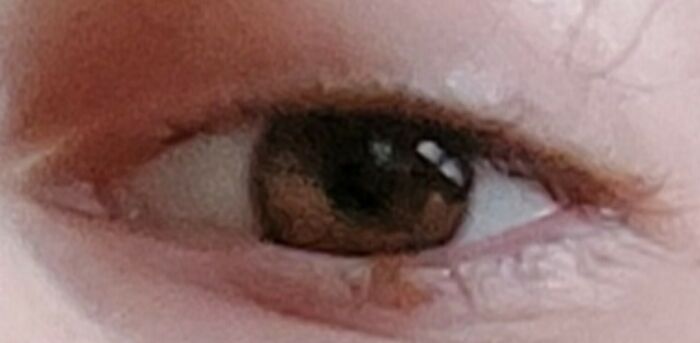 I Still Look Dead Lol