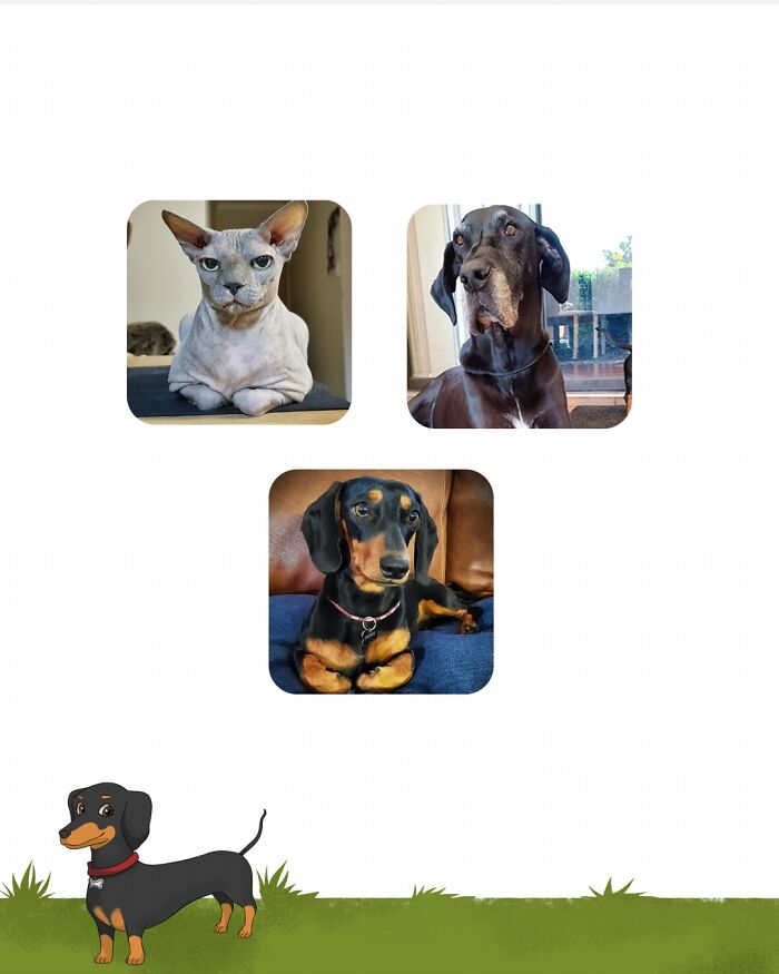 I Wrote A Children's Book About My Dog Named Vinkie I Wrote A Children's Book About My Dog Named Vinkie