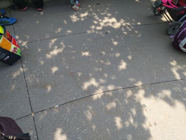Solar-Eclipse-2017-crescents-through-the-tree-64344971d1f1f.jpg
