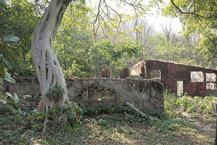 The Great Assembly Hall, Beatles Ashram, Rishikesh, India