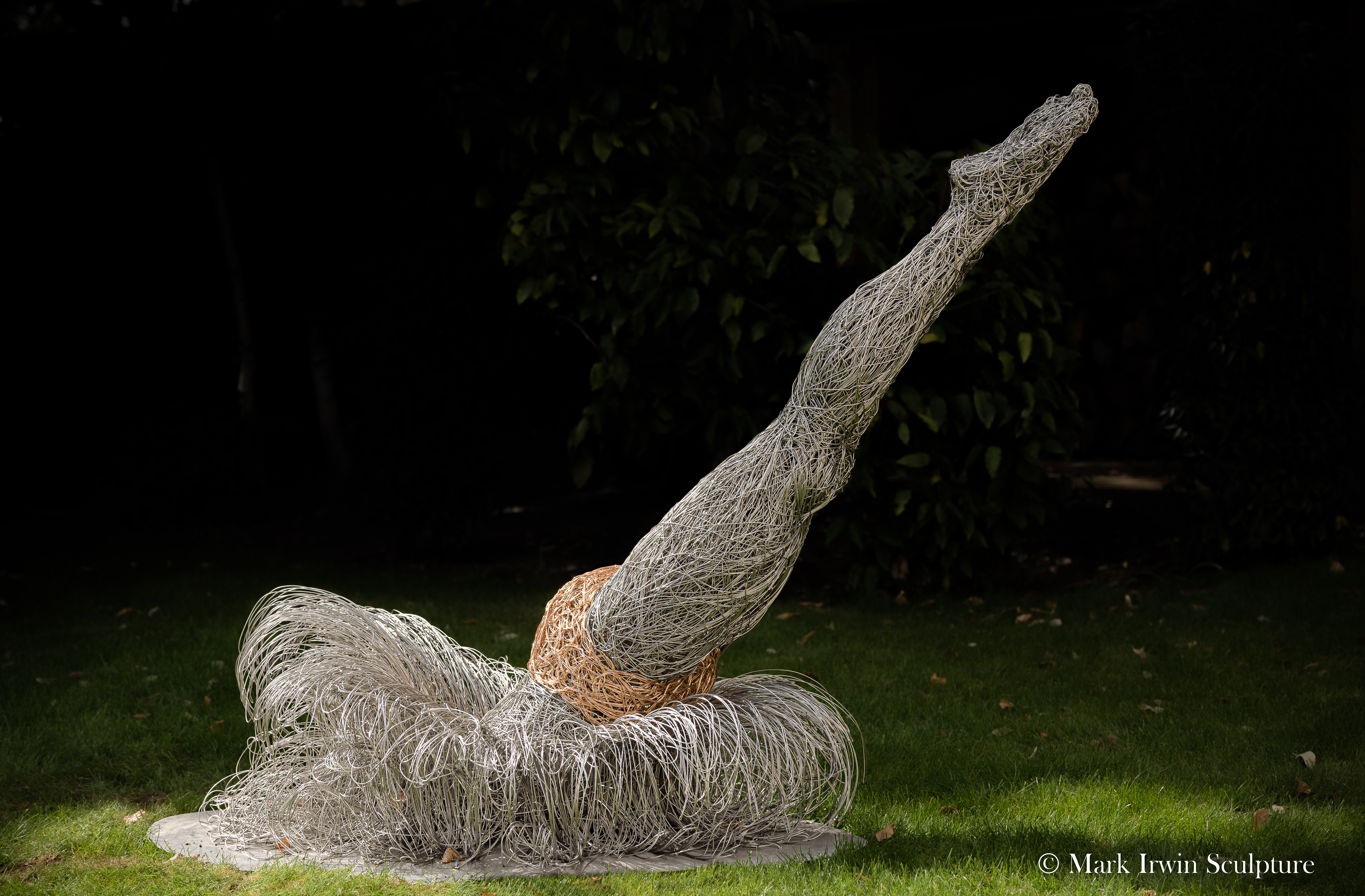 The Dive Wire Sculpture