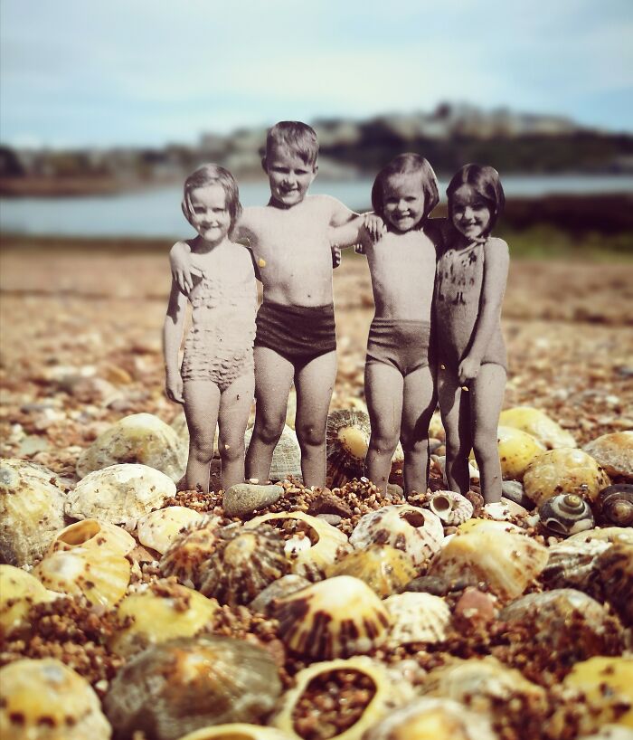 The Limpet Collectors