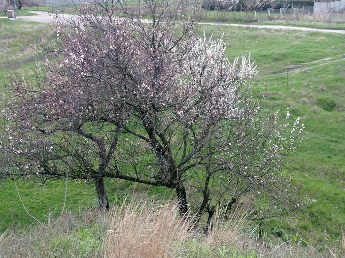 We Decided To Paint Outside For The First Time This Spring In A Front-Line Town In Ukraine We Decided To Paint Outside For The First Time This Spring In A Front-Line Town In Ukraine