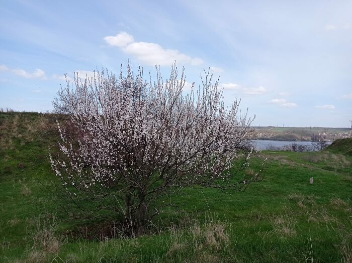 We Decided To Paint Outside For The First Time This Spring In A Front-Line Town In Ukraine We Decided To Paint Outside For The First Time This Spring In A Front-Line Town In Ukraine
