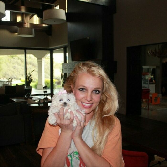Britney Spears With Her Smol Dog