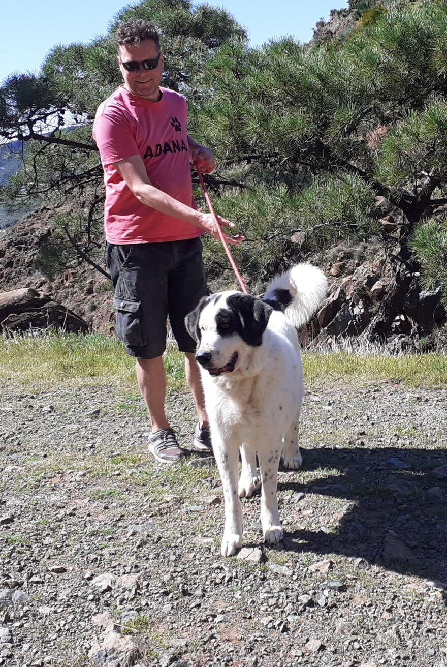 We're Never Short Of Affection At The Adana Dog Rescue Centre (12 Pics) We're Never Short Of Affection At The Adana Dog Rescue Centre (12 Pics)