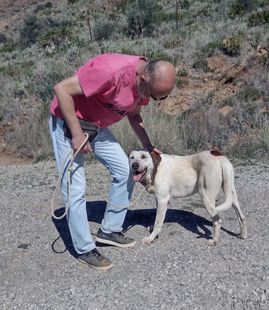 We're Never Short Of Affection At The Adana Dog Rescue Centre (12 Pics) We're Never Short Of Affection At The Adana Dog Rescue Centre (12 Pics)