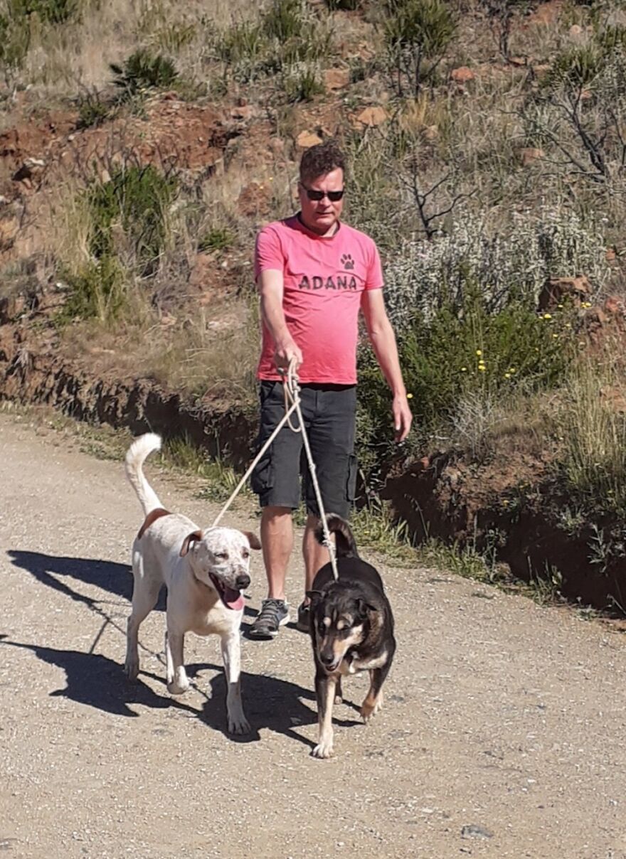 We're Never Short Of Affection At The Adana Dog Rescue Centre (12 Pics) We're Never Short Of Affection At The Adana Dog Rescue Centre (12 Pics)