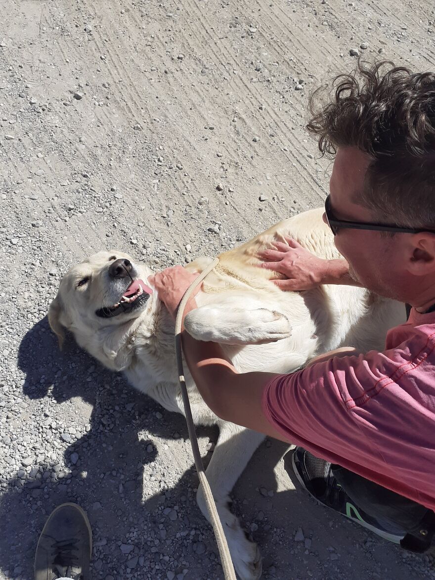 We're Never Short Of Affection At The Adana Dog Rescue Centre (12 Pics) We're Never Short Of Affection At The Adana Dog Rescue Centre (12 Pics)