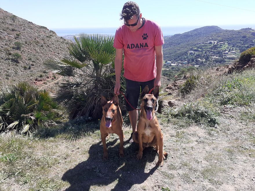 We're Never Short Of Affection At The Adana Dog Rescue Centre (12 Pics) We're Never Short Of Affection At The Adana Dog Rescue Centre (12 Pics)